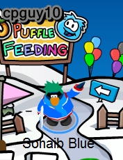 puffle-party-51